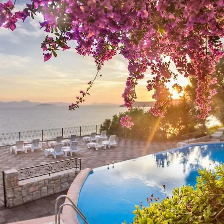 Hotel Arion