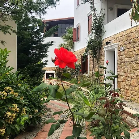 Arion Hotel 3*