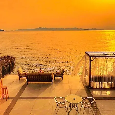 Arion 古穆斯卢克