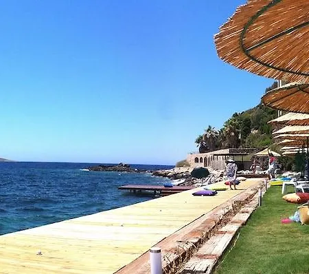 Arion Hotel 3*