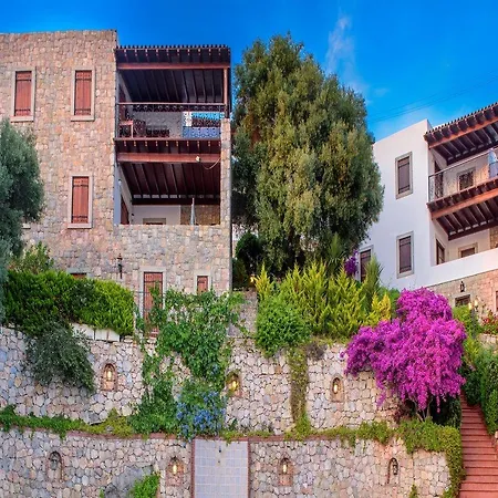 Hotel Arion Gumusluk