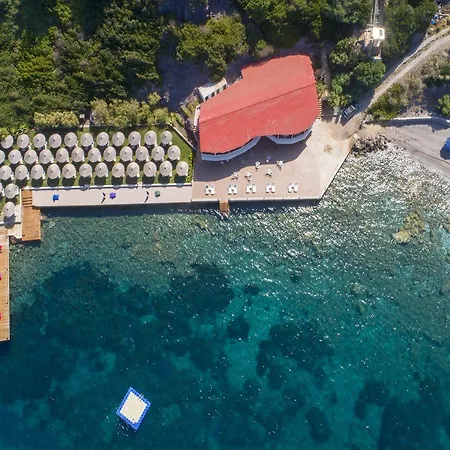 Hotel Arion