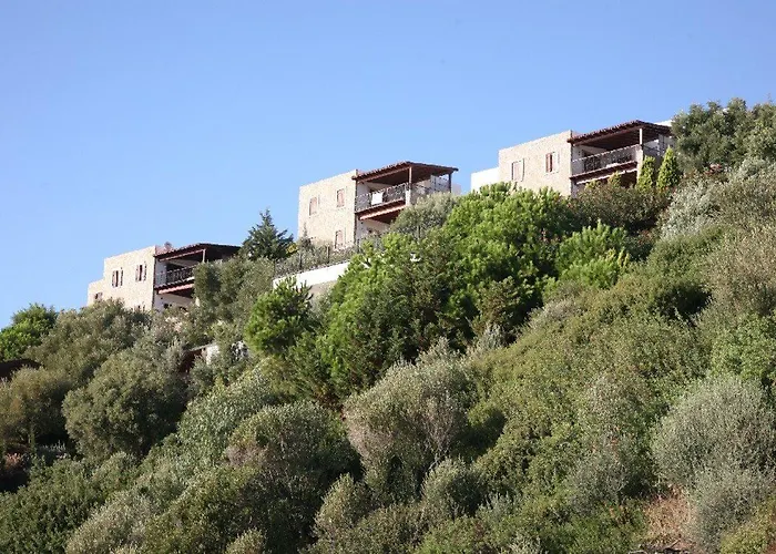 Hotel Arion Gumusluk