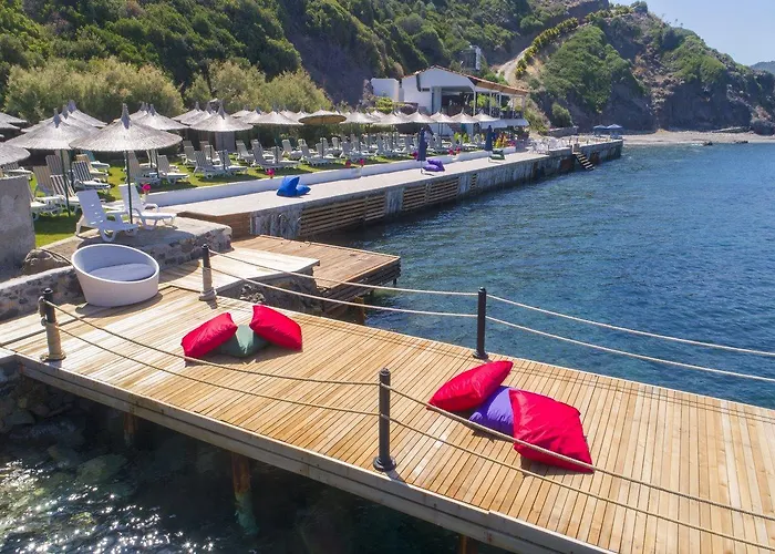 Arion Hotel Gumusluk