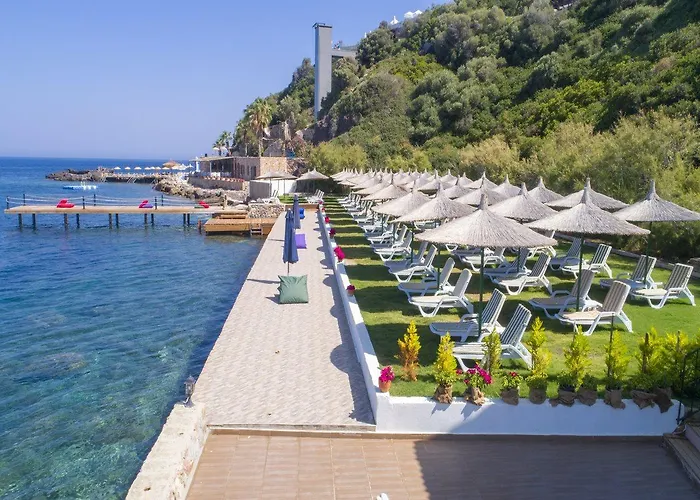 Arion Hotel Gumusluk