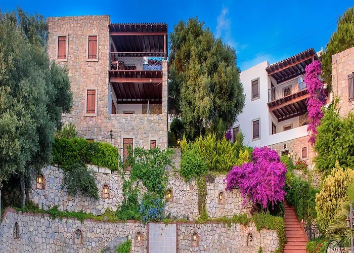 Hotel Arion Gumusluk