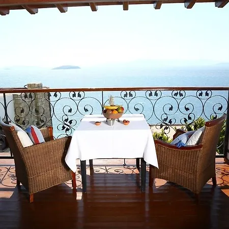 Arion גומושלוק